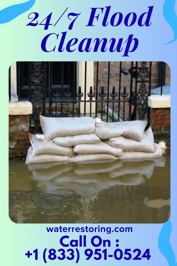 24/7 Flood Cleanup in Twin Brooks, SD