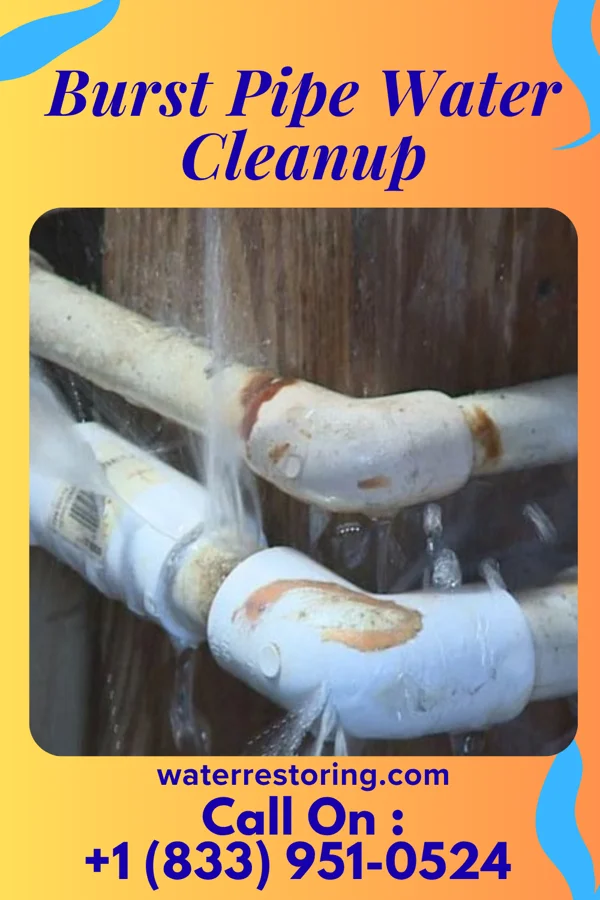 Burst Pipe Water Cleanup in Twin Brooks, SD