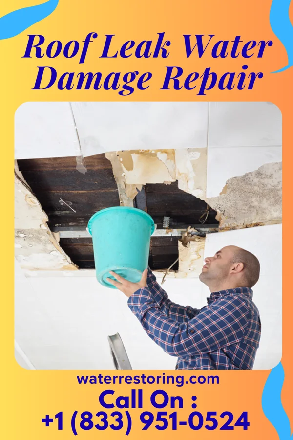 Roof Leak Water Damage Repair in Twin Brooks, SD