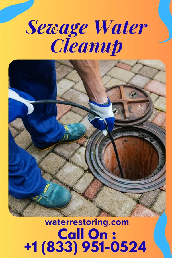 Sewage Water Cleanup in Twin Brooks, SD